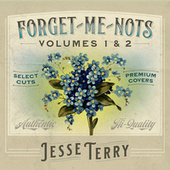 Thumbnail for the Jesse Terry - Forget-Me-Nots, Vol. 1 & 2 link, provided by host site
