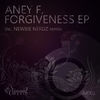 Thumbnail for the Aney F - Forgiveness link, provided by host site