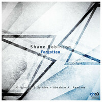 Thumbnail for the Shane Robinson - Forgotten link, provided by host site