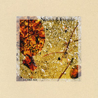 Thumbnail for the Fragile - Forgotten Path I link, provided by host site