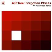 Thumbnail for the Alif Tree - Forgotten Places (Moodymann Remix) link, provided by host site