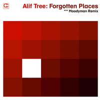 Thumbnail for the Alif Tree - Forgotten Places (Moodymann Remix) link, provided by host site