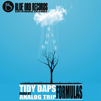 Thumbnail for the Tidy Daps - Formulas link, provided by host site