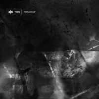 Thumbnail for the Torn - Forsaken link, provided by host site