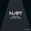 Thumbnail for the Napt - Fortune (12" Dub Mix) link, provided by host site