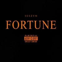 Thumbnail for the Seezyn - Fortune link, provided by host site