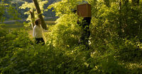 Thumbnail for the The Dodos - Forum link, provided by host site