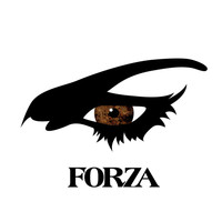 Thumbnail for the Forza - Forza link, provided by host site