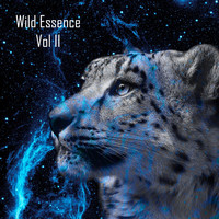 Thumbnail for the Gabrè - Found - Original Mix link, provided by host site