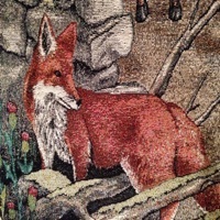 Thumbnail for the Veil - Fox link, provided by host site