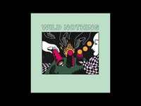 Thumbnail for the Wild Nothing - Foyer link, provided by host site