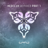 Thumbnail for the Hedflux - Fractal Funk - Nanoplex Remix link, provided by host site