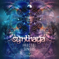 Thumbnail for the Synthaya - Fractal Senses link, provided by host site