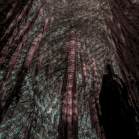 Thumbnail for the Beth Orton - Fractals link, provided by host site