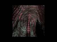 Thumbnail for the Beth Orton - Fractals link, provided by host site