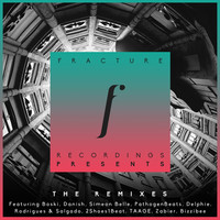 Thumbnail for the Various Artists - Fracture Recordings Presents: The Remixes link, provided by host site