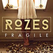 Thumbnail for the ROZES - Fragile link, provided by host site