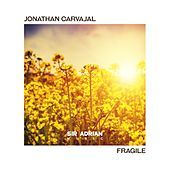 Thumbnail for the Jonathan Carvajal - Fragile link, provided by host site