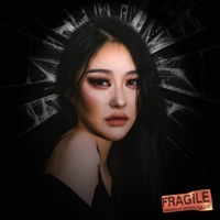 Thumbnail for the Camo - Fragile link, provided by host site