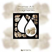 Thumbnail for the Thomas A.S. - Fragmento link, provided by host site