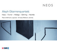 Thumbnail for the Beat Furrer - Fragmentos de un libro futuro link, provided by host site