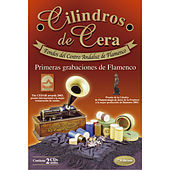 Thumbnail for the Anónimo - Fragmentos del Proceso de Restauración Digital de Cilindros de Cera link, provided by host site