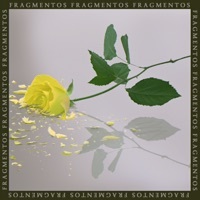 Thumbnail for the Florentino - Fragmentos link, provided by host site