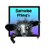 Thumbnail for the Sam Wise - Frames link, provided by host site
