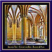 Thumbnail for the Mirjam Budday - Francis Poulenc: Trio for Piano, Oboe and Bassoon - (1) Presto - Lento - Le double plus lento - Presto link, provided by host site