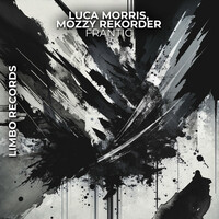 Thumbnail for the Luca Morris - Frantic (Radio-Edit) link, provided by host site