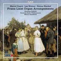 Thumbnail for the Franz Liszt - Franz Liszt - Arrangements link, provided by host site