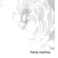 Thumbnail for the Arvo Pärt - Fratres link, provided by host site