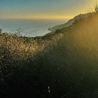 Thumbnail for the Christian Löffler - Free link, provided by host site