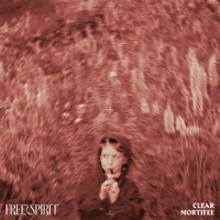 Thumbnail for the Forrest Mortifee - Free Spirit link, provided by host site