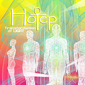 Thumbnail for the Wizack Twizack - Free Transform (Hotep Remix) link, provided by host site