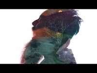 Thumbnail for the Tall Tall Trees - Freedays (Album promo) link, provided by host site