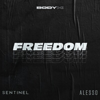 Thumbnail for the Sentinel - Freedom link, provided by host site