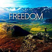 Thumbnail for the VP - Freedom link, provided by host site