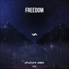 Thumbnail for the Phuture Noize - Freedom link, provided by host site