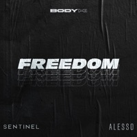 Thumbnail for the Sentinel - Freedom link, provided by host site