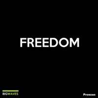 Thumbnail for the Proezas - Freedom link, provided by host site