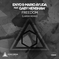Thumbnail for the Enyo - Freedom (LarsM Remix) link, provided by host site