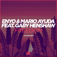 Thumbnail for the Enyo - Freedom (Lazy Crazy Remix) link, provided by host site