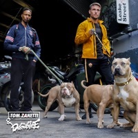 Thumbnail for the Tom Zanetti - Freestyle link, provided by host site