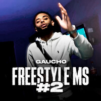 Thumbnail for the Gaucho - Freestyle MS, Pt.2 link, provided by host site