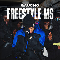 Thumbnail for the Gaucho - Freestyle MS link, provided by host site