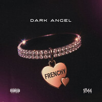 Thumbnail for the Dark Angel - FRENCHY link, provided by host site