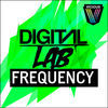Thumbnail for the Digital Lab - Frequency link, provided by host site