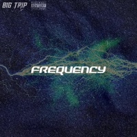 Thumbnail for the BIG TRIP - Frequency link, provided by host site