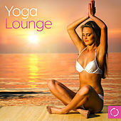 Thumbnail for the Dariush Gee - Freshness link, provided by host site